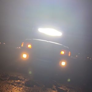 Meet your Posher, Brodie